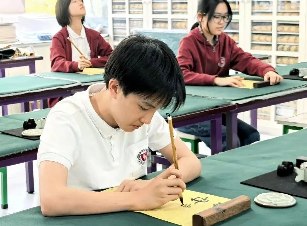 抓住中考择校黄金期 | 三大升学路径,多一条选择多一份保证-第11张图片-四季读书网 抓住中考择校黄金期 | 三大升学路径,多一条选择多一份保证-第11张图片-四季读书网