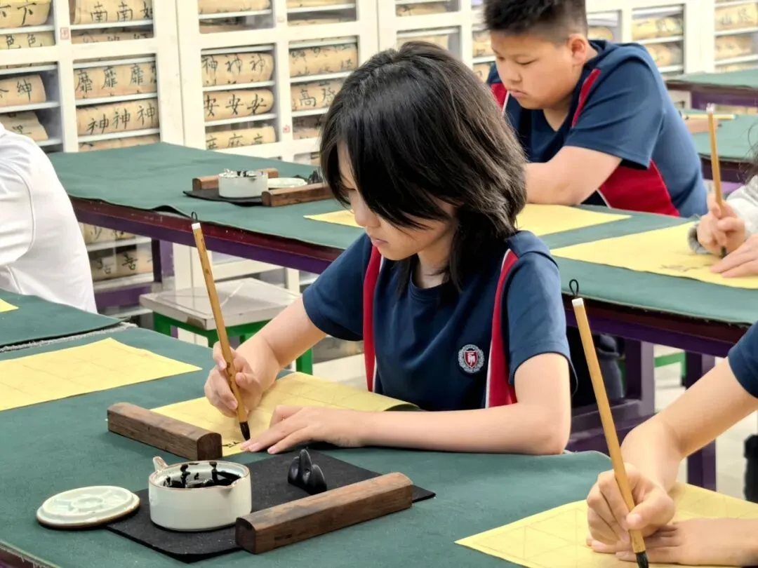 抓住中考择校黄金期 | 三大升学路径,多一条选择多一份保证-第12张图片-四季读书网 抓住中考择校黄金期 | 三大升学路径,多一条选择多一份保证-第12张图片-四季读书网