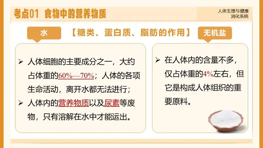 【26全新】生物中考专题复习 | 专题5-1《人体生理与健康——消化系统》,附赠配套专题训练+解析!-第18张图片-四季读书网