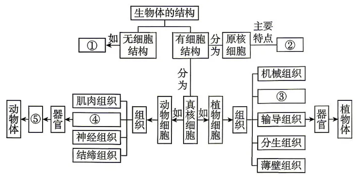 2026年中考生物宁乡模拟试卷-第9张图片-四季读书网 2026年中考生物宁乡模拟试卷-第9张图片-四季读书网