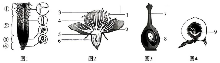 2026年中考生物宁乡模拟试卷-第10张图片-四季读书网 2026年中考生物宁乡模拟试卷-第10张图片-四季读书网