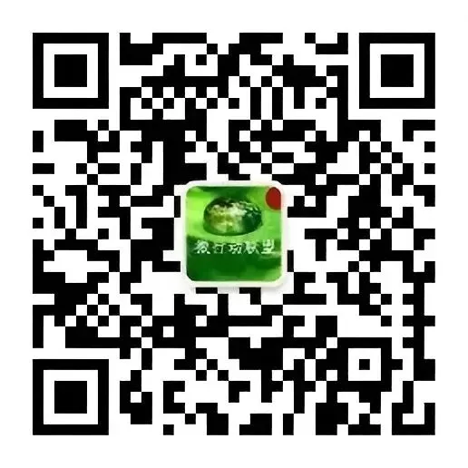 大同·2026年中考模拟预测卷·历史(六)-第12张图片-四季读书网