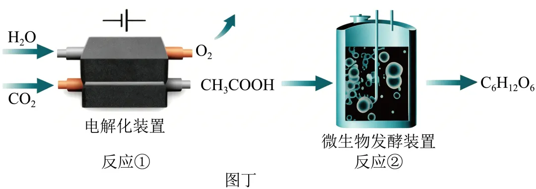 初中中考化学查漏补缺(十三)-第31张图片-四季读书网 初中中考化学查漏补缺(十三)-第31张图片-四季读书网