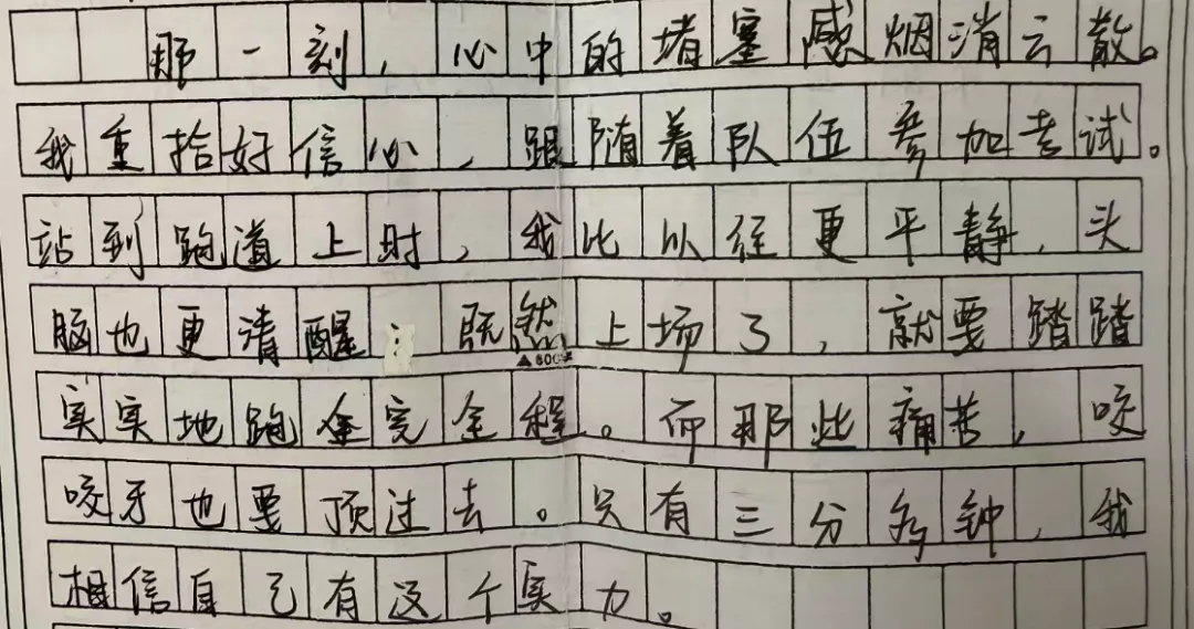 中考作文冲刺 │ 锤炼语言-第8张图片-四季读书网