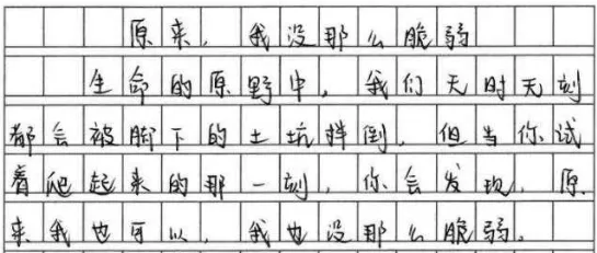 中考作文冲刺 │ 锤炼语言-第10张图片-四季读书网
