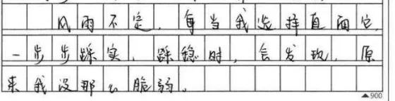 中考作文冲刺 │ 锤炼语言-第11张图片-四季读书网