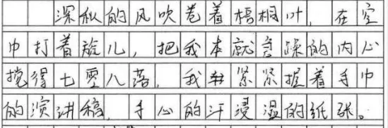中考作文冲刺 │ 锤炼语言-第12张图片-四季读书网