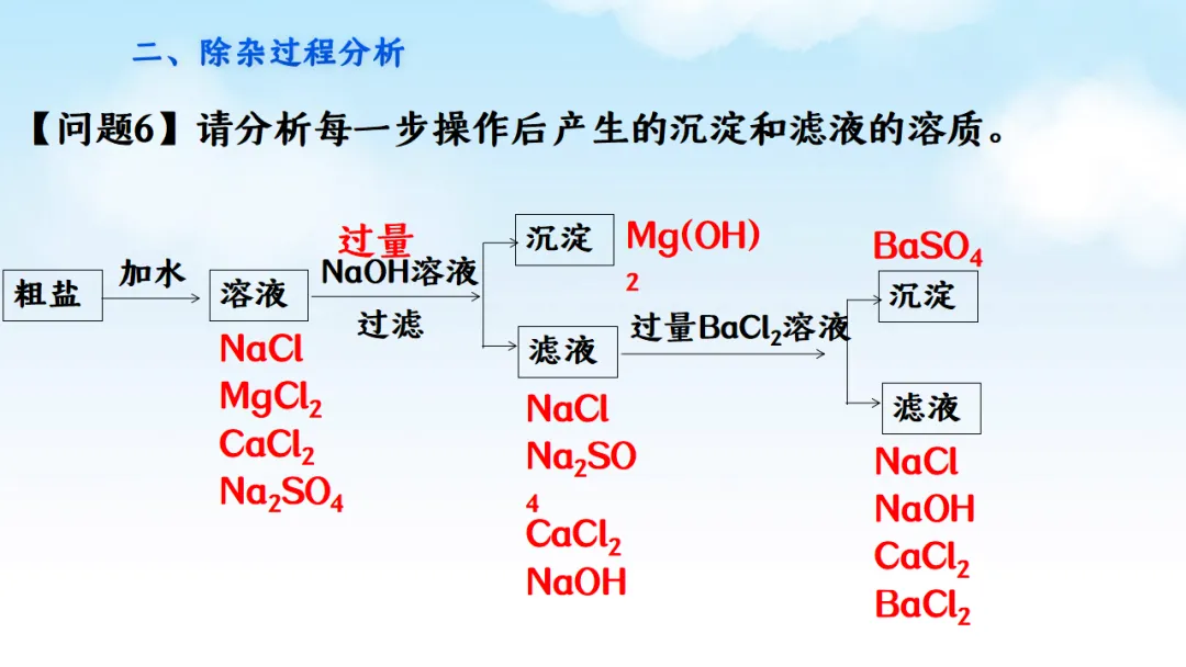 E78 二轮专题复习 决胜中考2026 优质课资源包 初中化学《专题复习---粗盐的可溶性杂质去除--除杂》课件PPT+教学设计Word-第14张图片-四季读书网