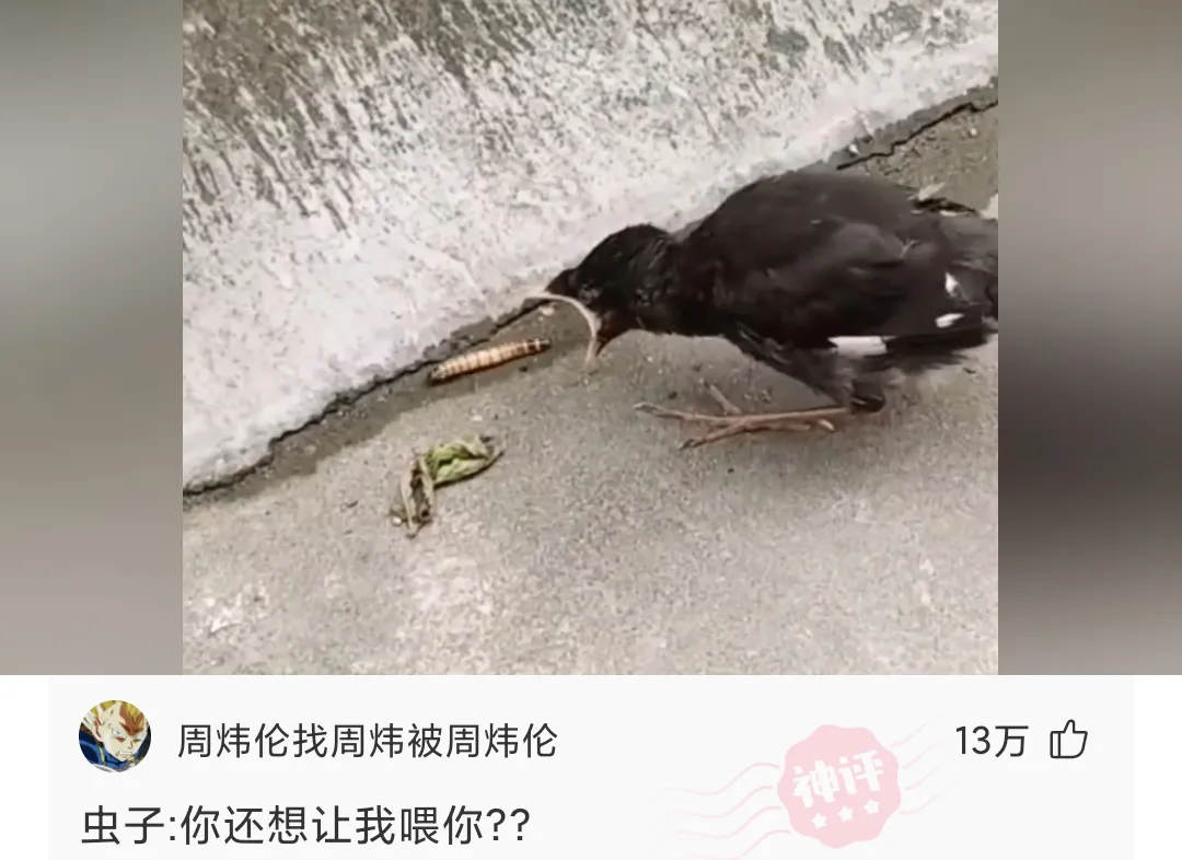 神回复:老师拍摄学生做模拟试卷,观看短短几秒试卷后,直接填满答题卡!-第12张图片-四季读书网 神回复:老师拍摄学生做模拟试卷,观看短短几秒试卷后,直接填满答题卡!-第12张图片-四季读书网
