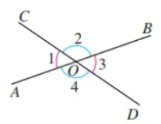 中考数学必考知识点详解:对顶角-第1张图片-四季读书网 中考数学必考知识点详解:对顶角-第1张图片-四季读书网