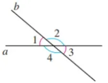 中考数学必考知识点详解:对顶角-第2张图片-四季读书网 中考数学必考知识点详解:对顶角-第2张图片-四季读书网