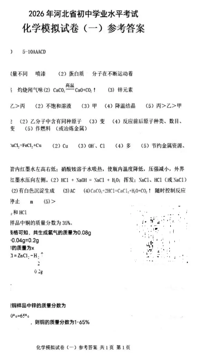【新出】衡水中考化学模拟试卷(答案)-第7张图片-四季读书网