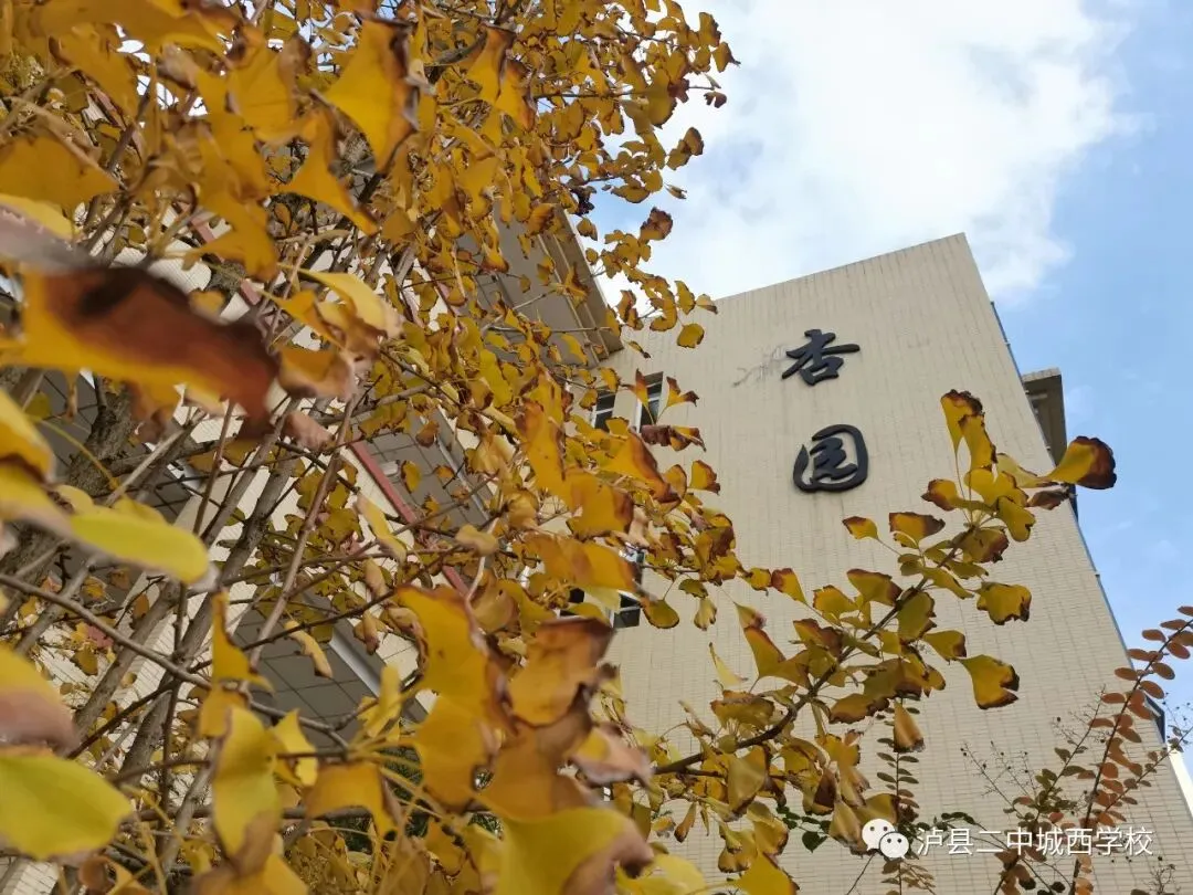 泸县二中城西学校关于2026年中考期间放假的通知-第7张图片-四季读书网