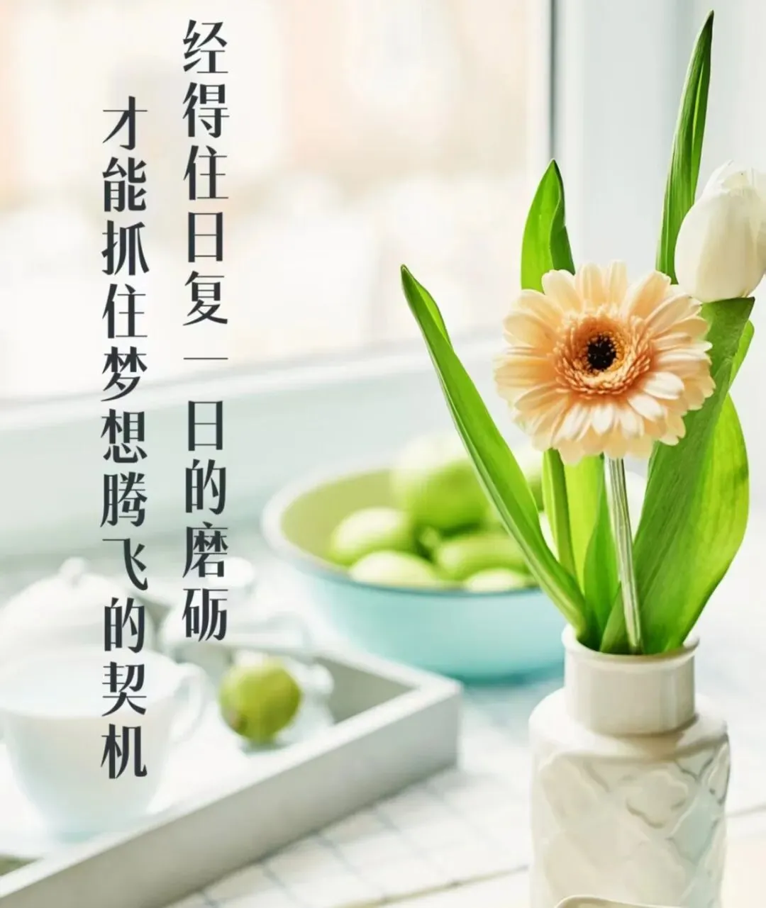作为中师生,我的中考经历有多窘-第1张图片-四季读书网 作为中师生,我的中考经历有多窘-第1张图片-四季读书网