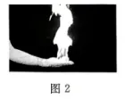 2026河北省张家口市中考二模化学试卷及参考答案 昌图县杨智超初中化学名师种子工作室-第2张图片-四季读书网
