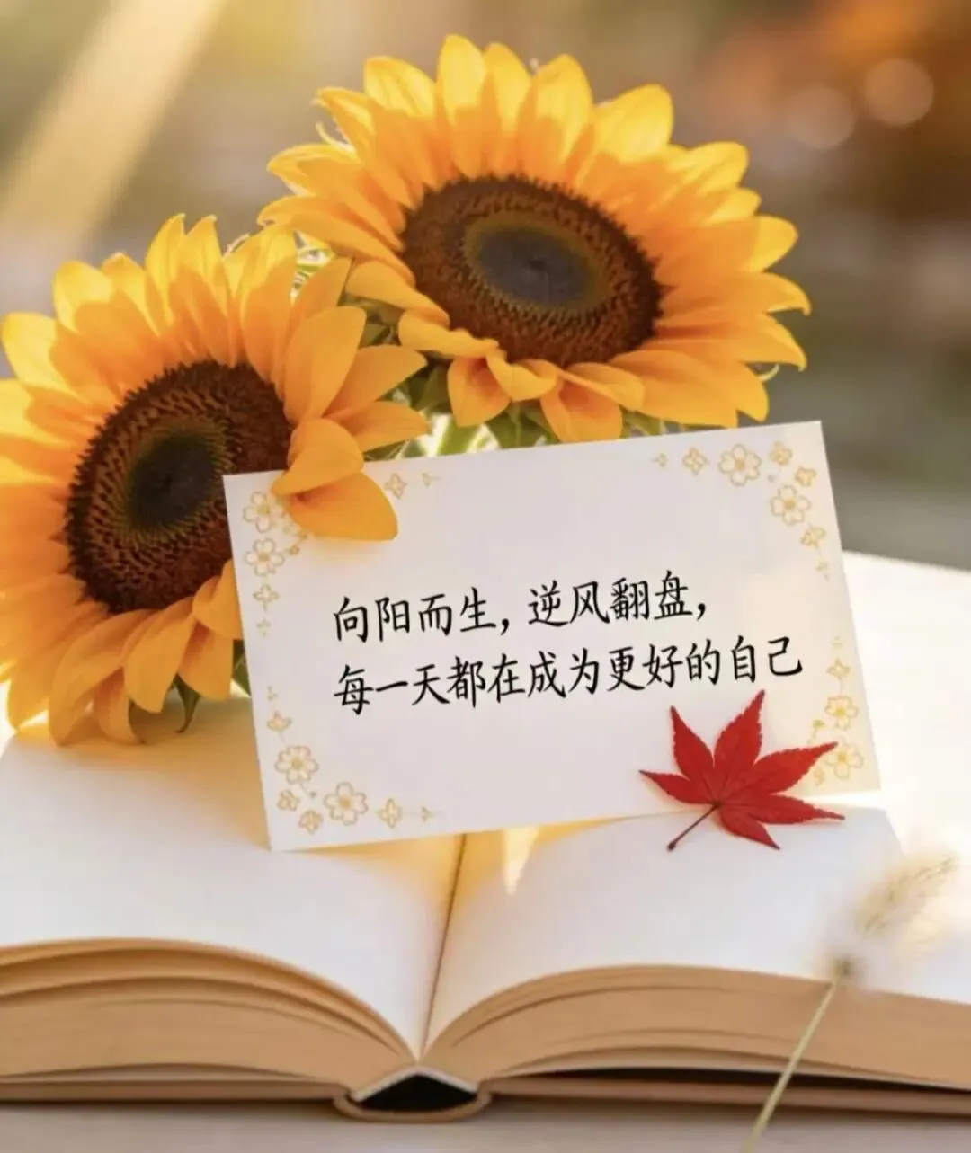 2026年高考语文全国I卷作文真题深度点评与分析-第1张图片-四季读书网