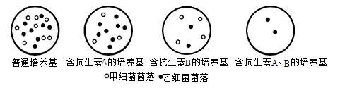 2026年锡林郭勒盟八年级生物第二次模拟考试-第1张图片-四季读书网 2026年锡林郭勒盟八年级生物第二次模拟考试-第1张图片-四季读书网