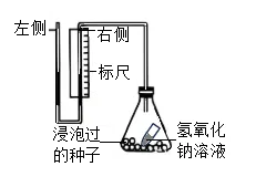 2026年锡林郭勒盟八年级生物第二次模拟考试-第2张图片-四季读书网 2026年锡林郭勒盟八年级生物第二次模拟考试-第2张图片-四季读书网