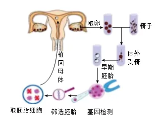 2026年锡林郭勒盟八年级生物第二次模拟考试-第4张图片-四季读书网 2026年锡林郭勒盟八年级生物第二次模拟考试-第4张图片-四季读书网