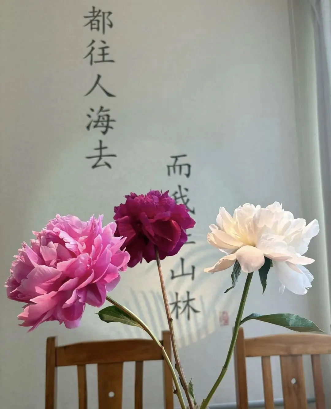 2026年中考作文预测|《AI时代,真诚更可贵》《Al时代,我读懂了写作的真谛》《Al时代,智者更智,愚者更愚》-第2张图片-四季读书网