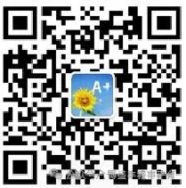 2026高考语文试卷真题及答案(全国一卷)可下载-第16张图片-四季读书网