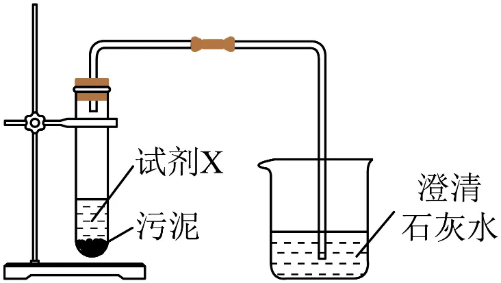 2026年中考化学终极押题实验题-第6张图片-四季读书网 2026年中考化学终极押题实验题-第6张图片-四季读书网