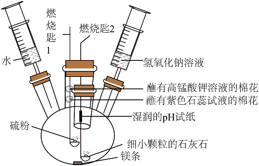 2026年中考化学终极押题实验题-第10张图片-四季读书网 2026年中考化学终极押题实验题-第10张图片-四季读书网