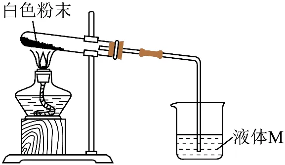 2026年中考化学终极押题实验题-第38张图片-四季读书网 2026年中考化学终极押题实验题-第38张图片-四季读书网