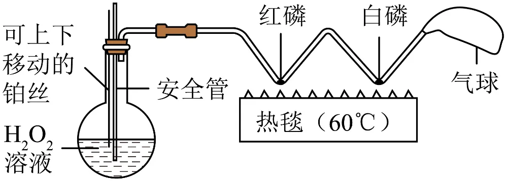 2026年中考化学终极押题实验题-第48张图片-四季读书网 2026年中考化学终极押题实验题-第48张图片-四季读书网