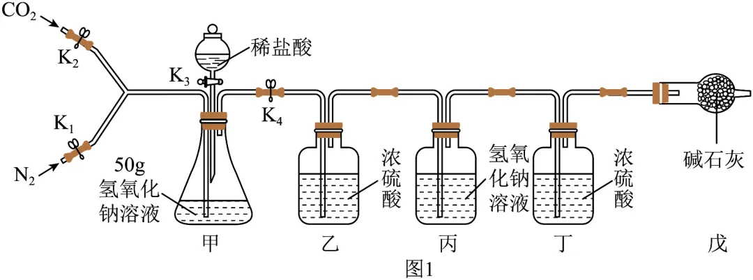 2026年中考化学终极押题实验题-第51张图片-四季读书网 2026年中考化学终极押题实验题-第51张图片-四季读书网