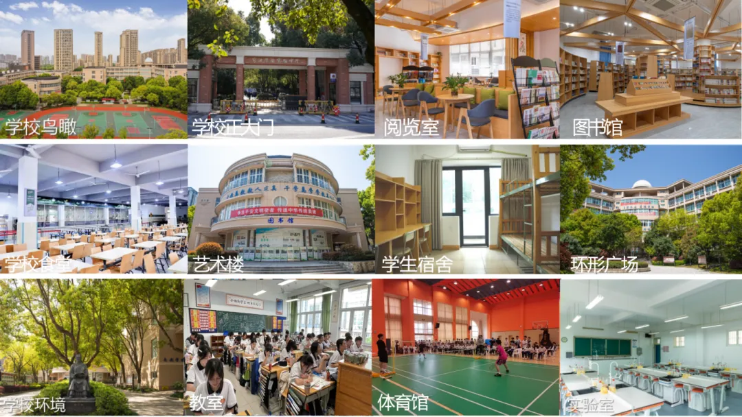 孩子中考分数“不上不下”?宁波这所学校,刚好接得住!-第19张图片-四季读书网 孩子中考分数“不上不下”?宁波这所学校,刚好接得住!-第19张图片-四季读书网
