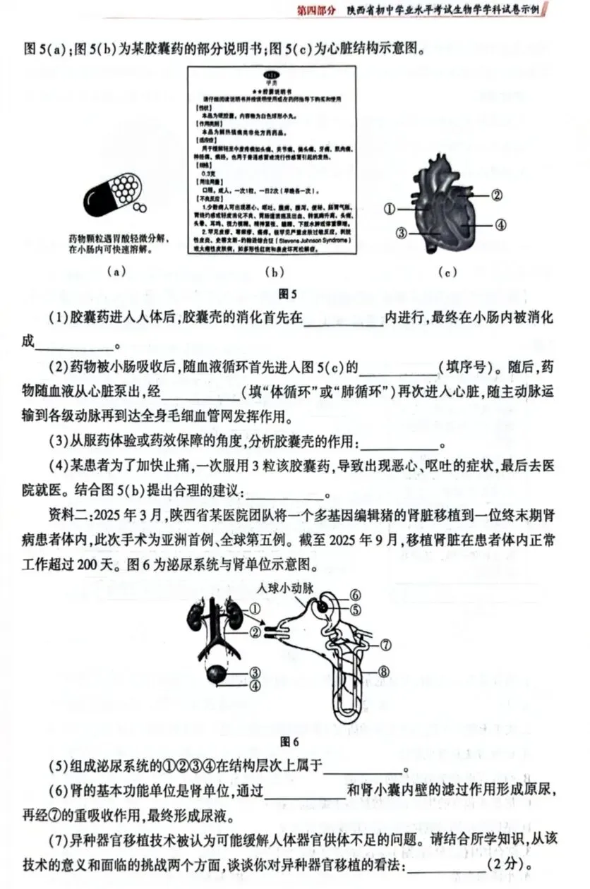 陕西省初中学业水平考试生物学科试卷示例(一)(二)(三)及答案分享-第13张图片-四季读书网