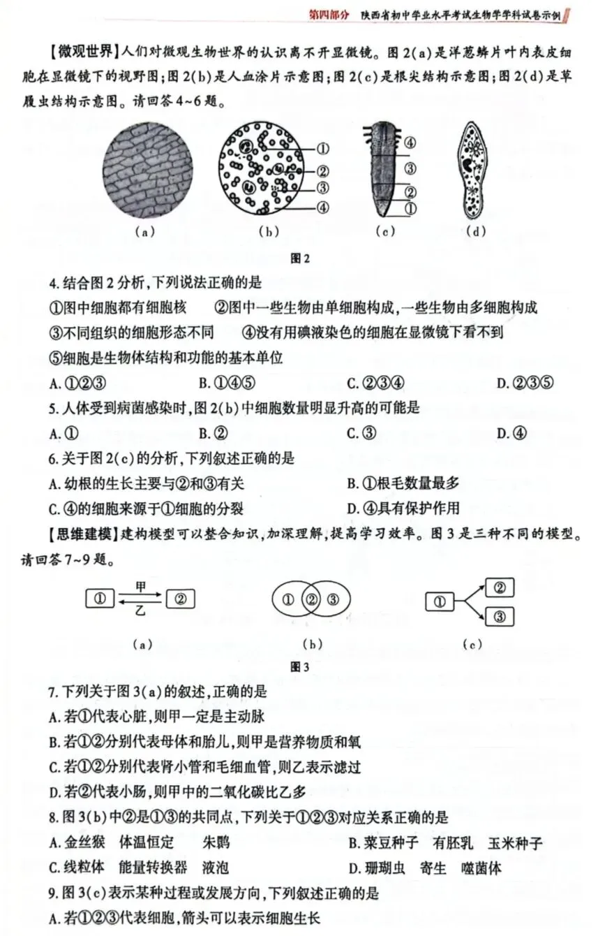 陕西省初中学业水平考试生物学科试卷示例(一)(二)(三)及答案分享-第16张图片-四季读书网