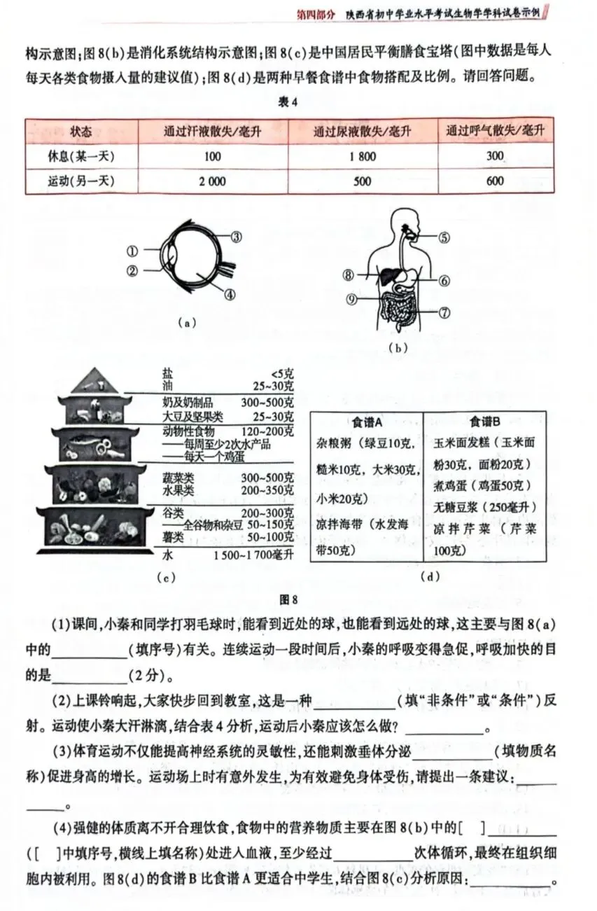 陕西省初中学业水平考试生物学科试卷示例(一)(二)(三)及答案分享-第20张图片-四季读书网