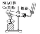 2026 年米哈游学科初中学业水平考试模拟(三)-第5张图片-四季读书网 2026 年米哈游学科初中学业水平考试模拟(三)-第5张图片-四季读书网