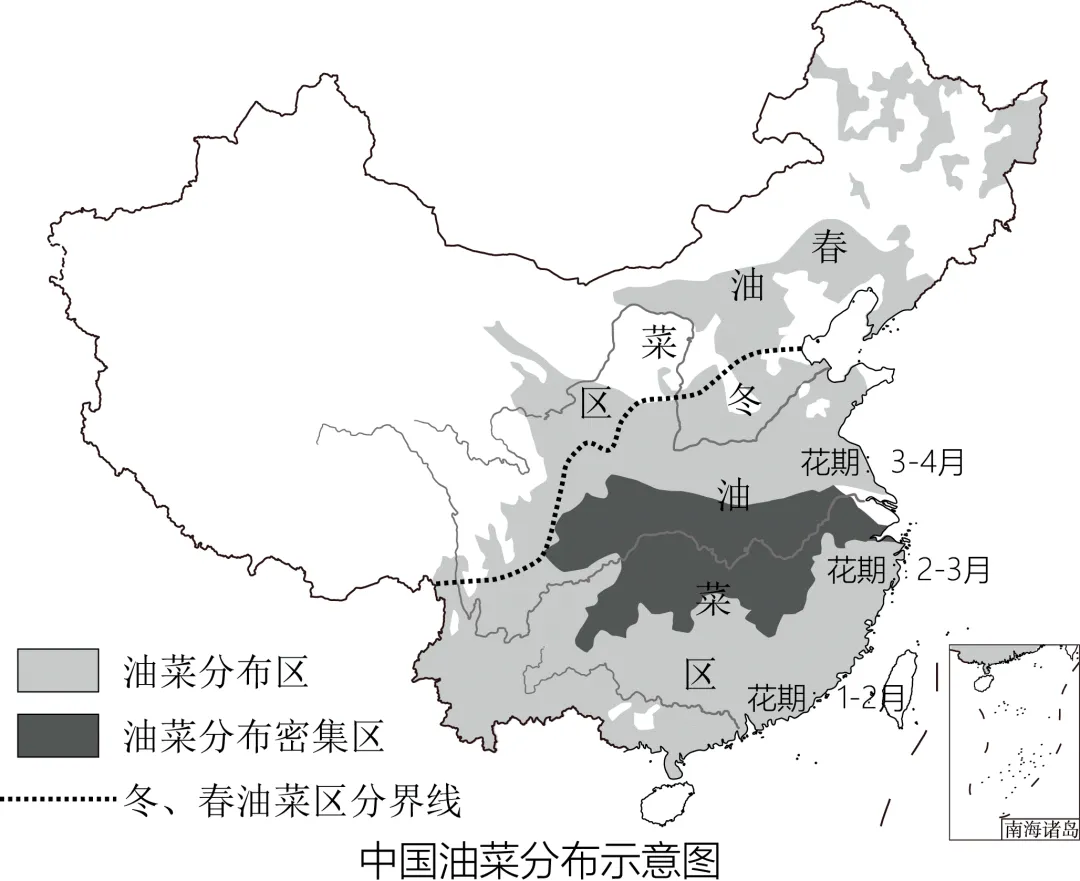 2026年湖南省衡阳市中考二模试卷-第12张图片-四季读书网