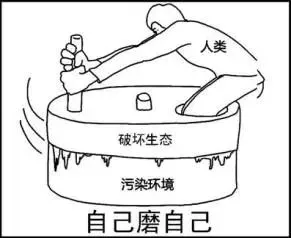 潍坊中考模拟题(二)-第4张图片-四季读书网 潍坊中考模拟题(二)-第4张图片-四季读书网