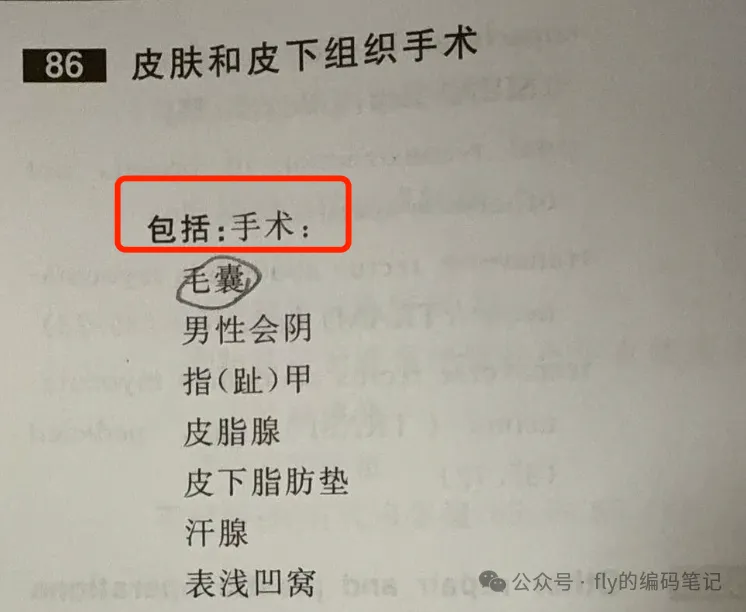2024年病案专业技能大赛真题回顾(二)-第3张图片-四季读书网 2024年病案专业技能大赛真题回顾(二)-第3张图片-四季读书网