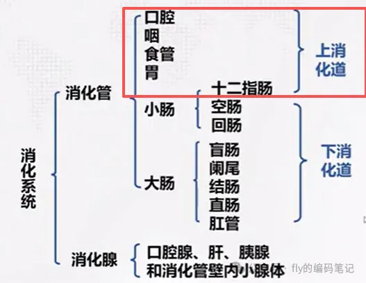 2024年病案专业技能大赛真题回顾(二)-第20张图片-四季读书网 2024年病案专业技能大赛真题回顾(二)-第20张图片-四季读书网