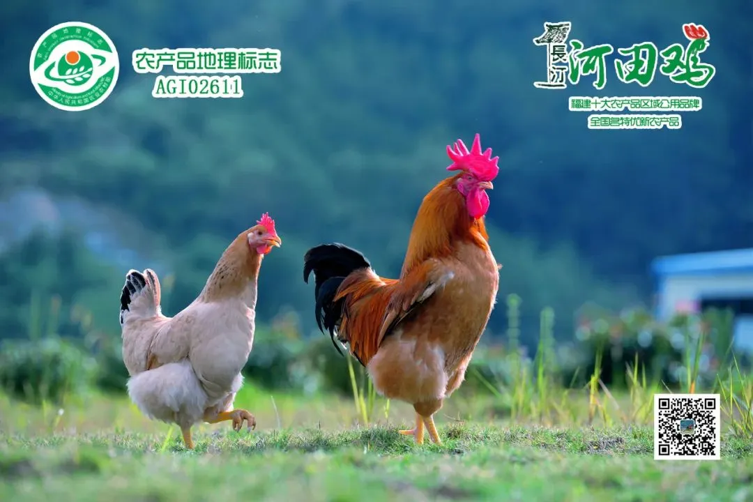 中考家长如何“陪”出好状态?-第3张图片-四季读书网