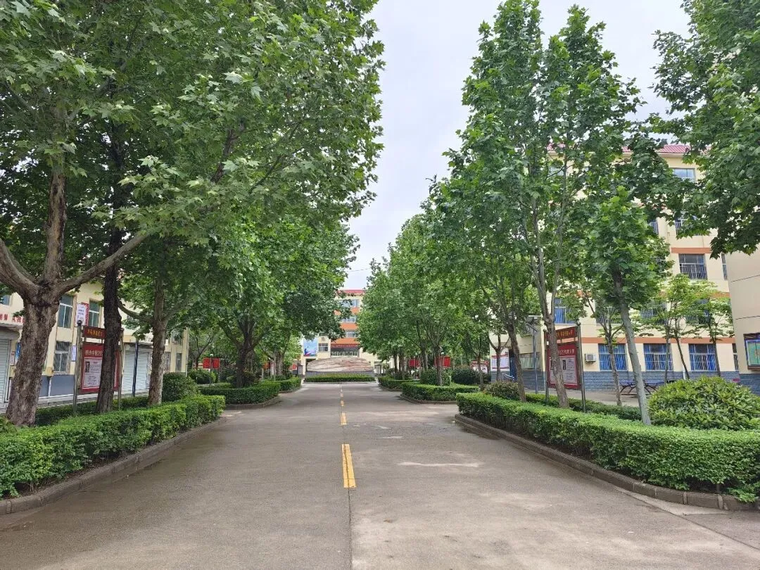 中考议论文答题模板-第5张图片-四季读书网 中考议论文答题模板-第5张图片-四季读书网