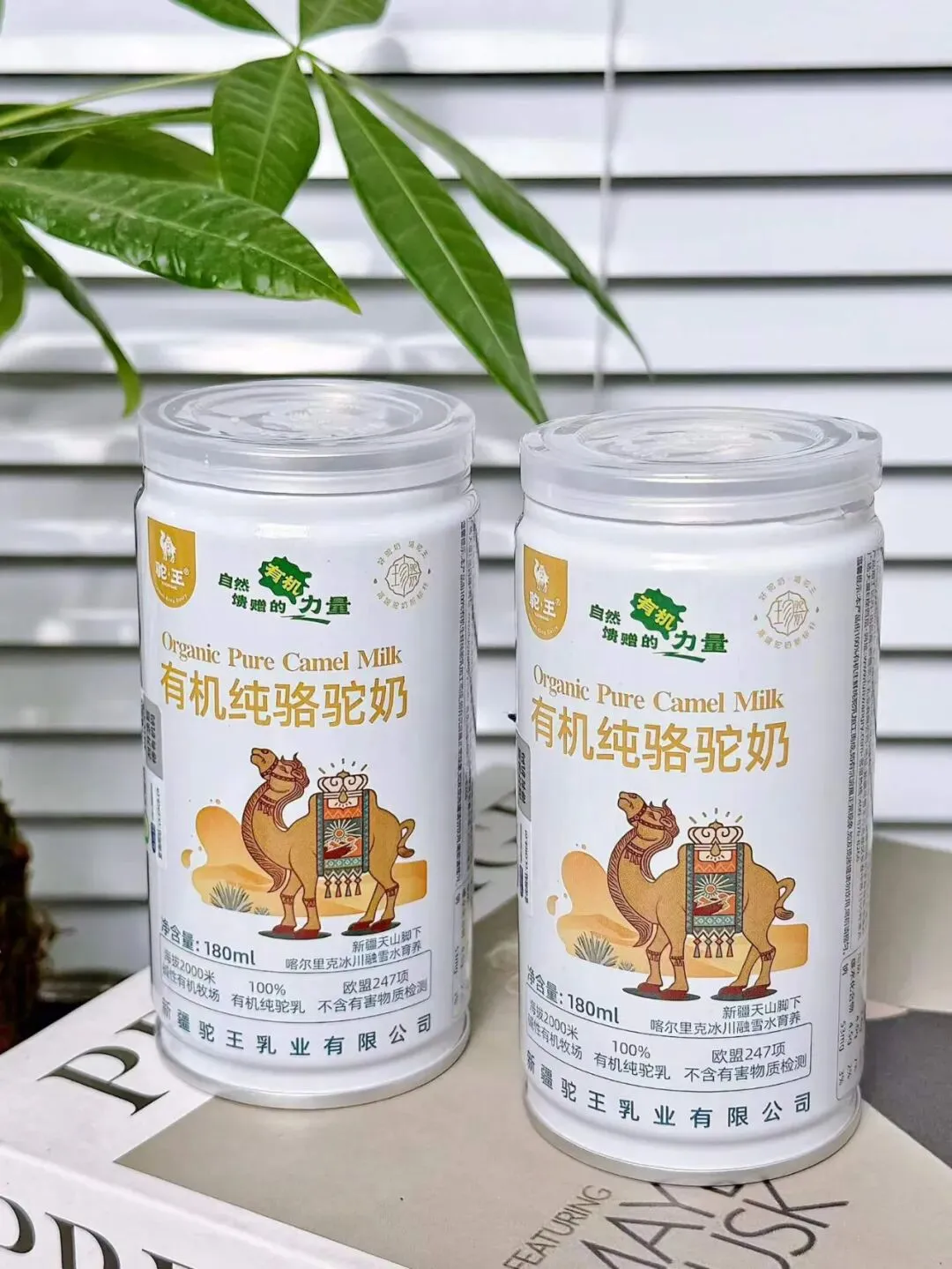 中考冲刺季,给孩子选一款省心好饮品~-第5张图片-四季读书网 中考冲刺季,给孩子选一款省心好饮品~-第5张图片-四季读书网