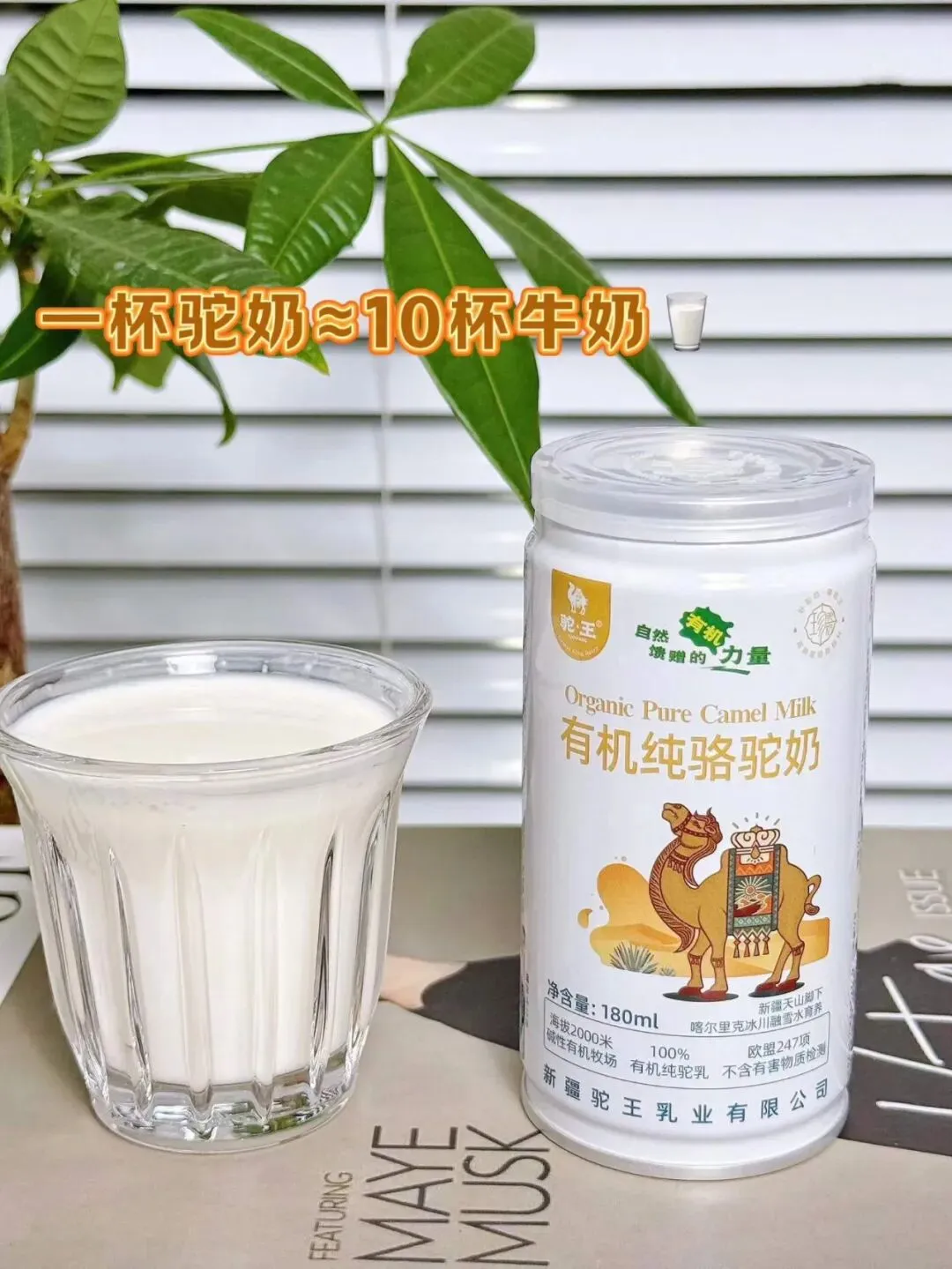 中考冲刺季,给孩子选一款省心好饮品~-第10张图片-四季读书网 中考冲刺季,给孩子选一款省心好饮品~-第10张图片-四季读书网
