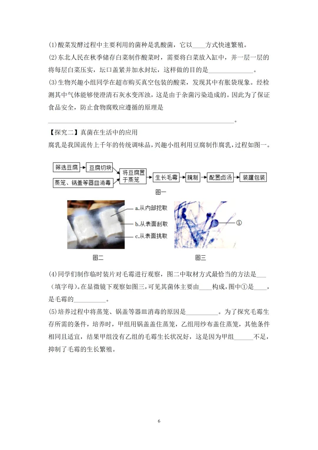 2026年中考生物终极押题猜想系列(1~3)套(可下载)-第6张图片-四季读书网 2026年中考生物终极押题猜想系列(1~3)套(可下载)-第6张图片-四季读书网