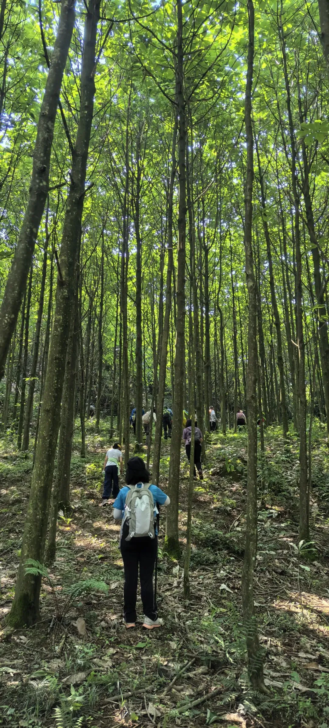 牛顿成都中考:386 分的无奈-第5张图片-四季读书网 牛顿成都中考:386 分的无奈-第5张图片-四季读书网
