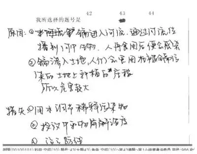 注意!中考电脑阅卷原来是这样!记住可少丢20分!-第11张图片-四季读书网
