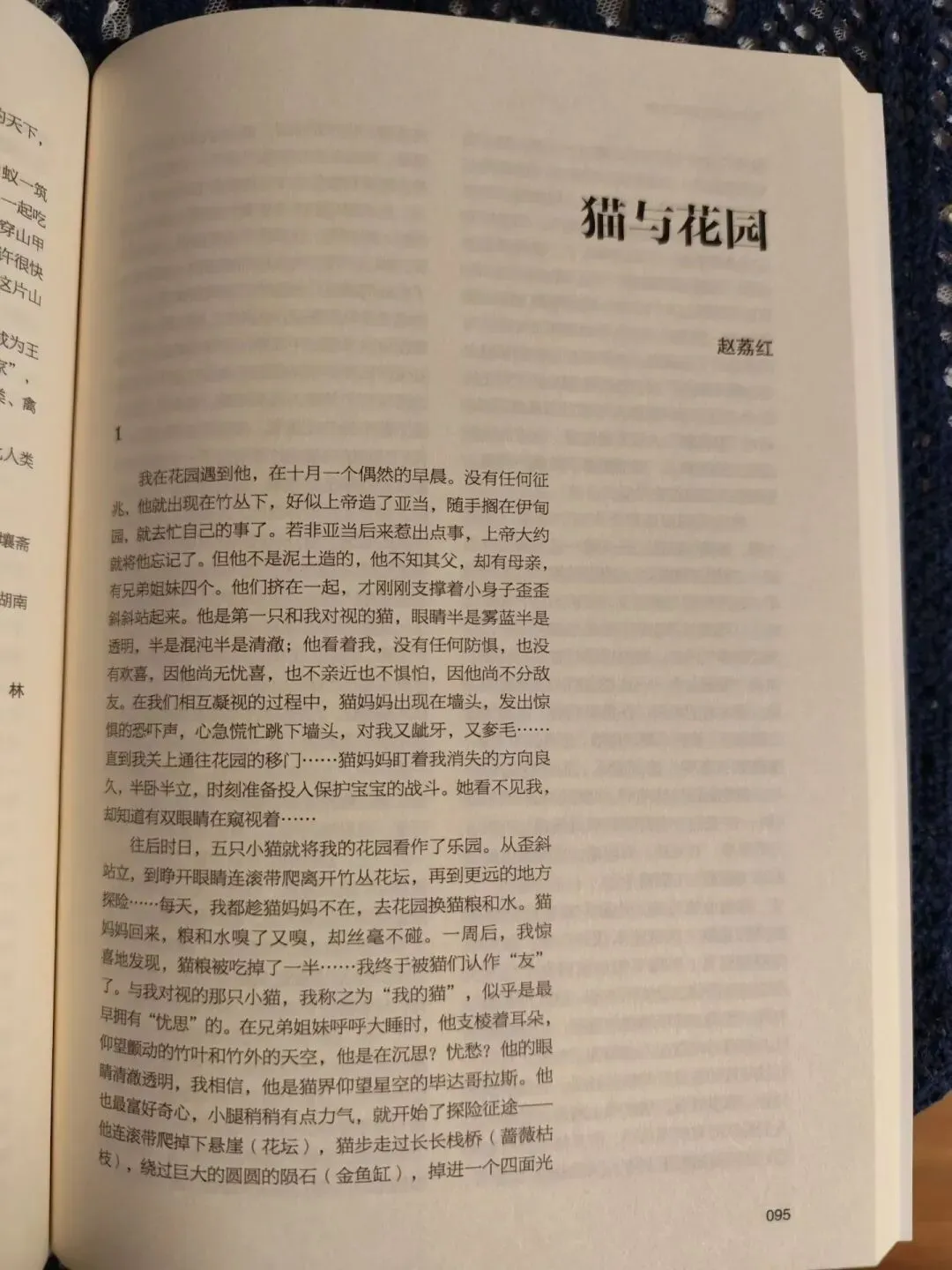 小猫居然被写进高考试卷!网友笑喷:出题人是猫猫教的吧?-第2张图片-四季读书网 小猫居然被写进高考试卷!网友笑喷:出题人是猫猫教的吧?-第2张图片-四季读书网
