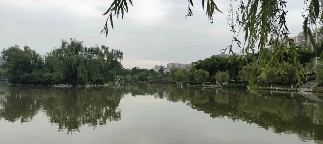 热点‖2026年高考真题解析03-第2张图片-四季读书网 热点‖2026年高考真题解析03-第2张图片-四季读书网