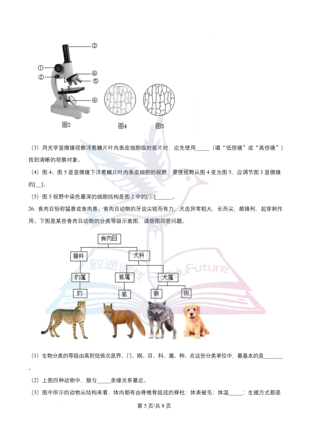 南岗区八年级学生学习水平监测生物学试卷-第6张图片-四季读书网