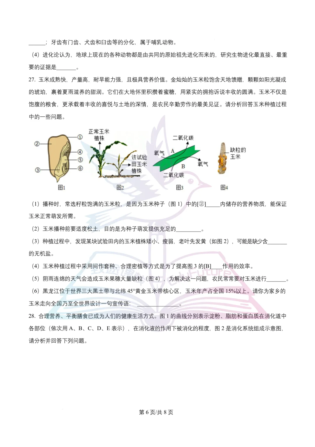 南岗区八年级学生学习水平监测生物学试卷-第7张图片-四季读书网